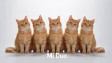 Minimal product launch video 2